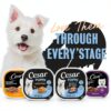 Cesar Puppy Wet Dog Food Real Chicken Loaf in Sauce-6