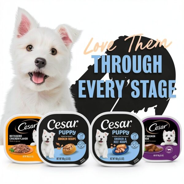 Cesar Puppy Wet Dog Food Real Chicken Loaf in Sauce-6