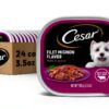 Cesar Filets in Gravy Wet Dog Food Real Beef Protein-0