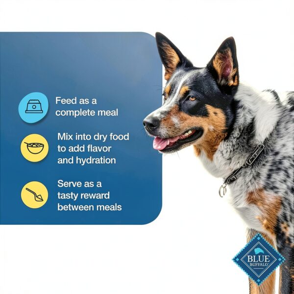 Blue Buffalo Healthy Weight Wet Dog Food Beef Recipe-6