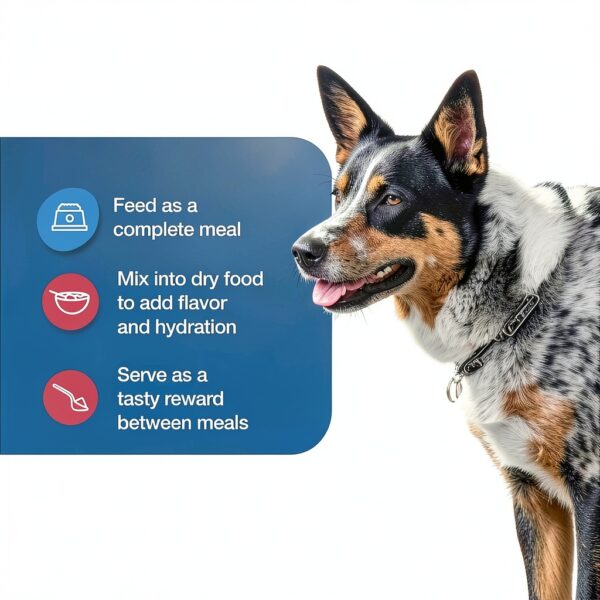 Blue Buffalo Homestyle Recipe Natural Wet Dog Food Beef-6