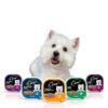 Cesar Filets in Gravy Wet Dog Food Real Beef Protein-6