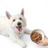 Cesar Filets in Gravy Wet Dog Food Real Beef Protein-8
