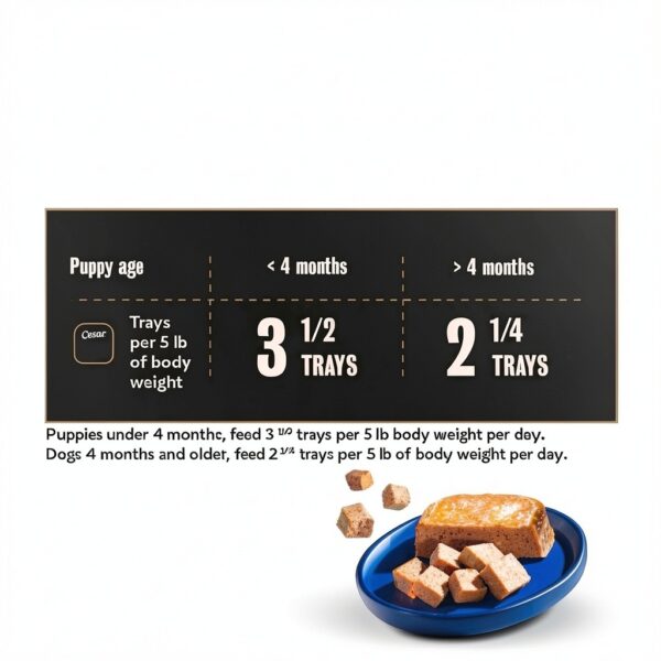 Cesar Puppy Wet Dog Food Real Chicken Loaf in Sauce-4