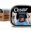 Cesar Puppy Wet Dog Food Real Chicken Loaf in Sauce-0