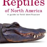 Golden Guides Reptiles Biology Kindle Edition-0