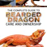 Reptile Care Guide by LP Media Inc Kindle Book-0