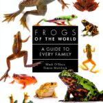 Princeton University Press Print Replica Books-0