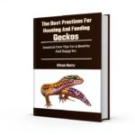 Reptile Care Guide for Beginners Amazon Kindle eBook-0