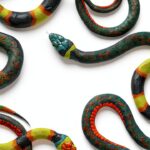 Reptile and Amphibian Biology eBook Grand Central Publishing X Ray-0