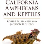 Princeton University Press Reptile Biology Kindle eBook 527‑Page Guide-0